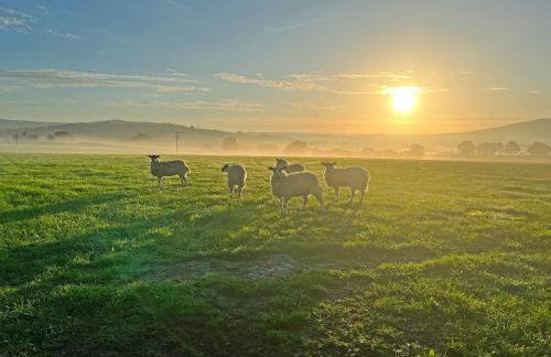 The Larches - Photo 26