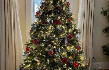 Main House - 3 Story 5 Bed 3 Bath Private Deck Courtyard Pet Friendly fee applies - Photo 55