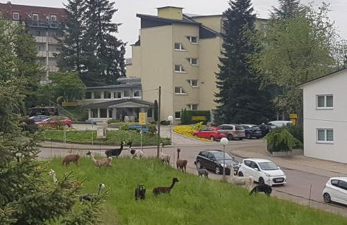 Hotel Häfner - Foto 5