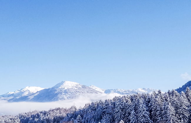 Zirben Appartement Karin - Foto 42