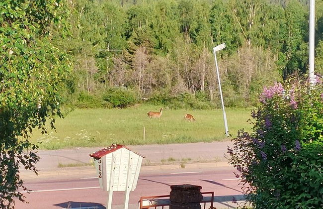 Forest Family Home - Foto 72