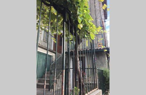 Nel set di piccolo mondo antico Villa Viola - Foto 17