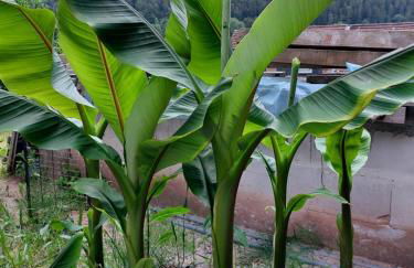 Ferienwohnung Unterm Rappenfels - Foto 22