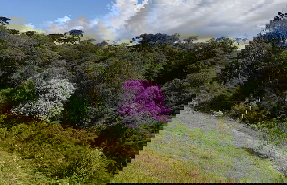 Recanto Vista Alegre - Rancho Queimado - Photo 30