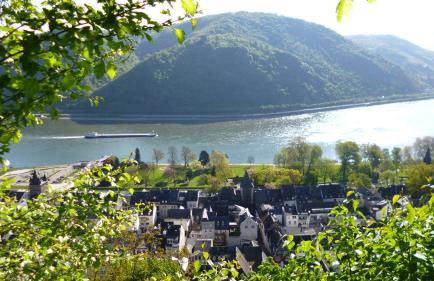 Gästehaus Rheinromantik - Photo 45