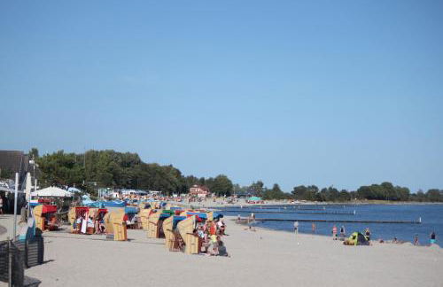 Silbermöwe im Kirschgarten - Foto 53
