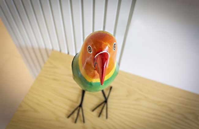 Casas do Forte DC in Tavira - Foto 7