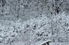 Ferienwohnung zum Hirschen - Foto 27