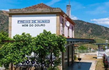 EiraDouro - Casa Oliveira - Foto 17