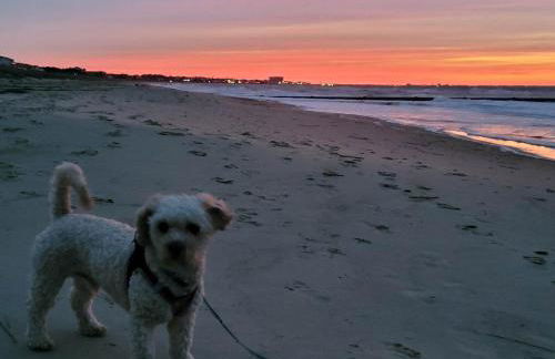 The Dune Beach House - Foto 17