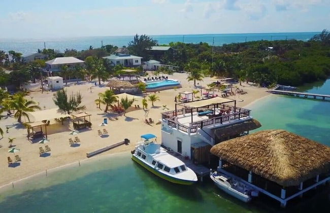 The Lily Pad II - Foto 17