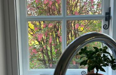 La Casetta - Foto 11