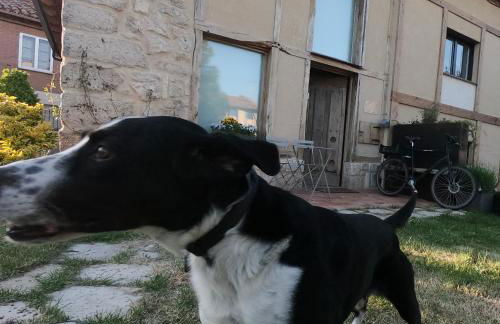 Casa Rural el Cocodrilo - Foto 6