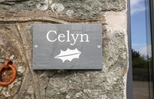 Tyddyn Sianel - Celyn - Foto 3
