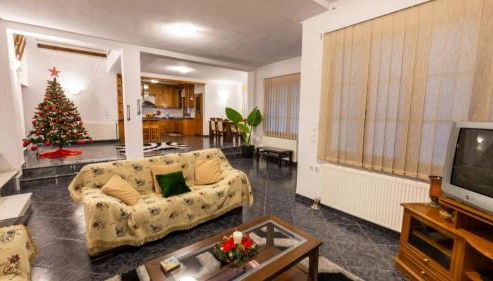 ΜΕΤΕORΑ- KALAMBAKA- TRIKALA-Villa Toscana - Foto 3