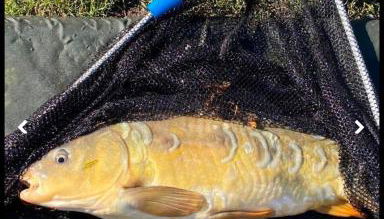 Weeley Bridge 3 Bedroom Luxury Holiday Home - Foto 3