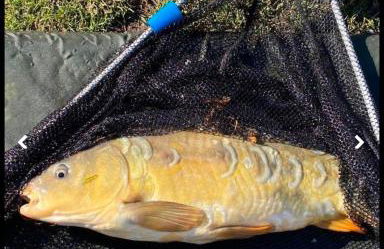 Weeley Bridge 3 Bedroom Luxury Holiday Home - Foto 3