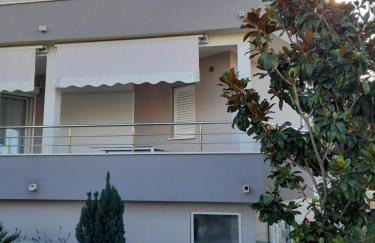 Apartmani Seka 1 - Foto 2