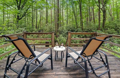 Falling Waters at Rumbling Bald - Foto 30