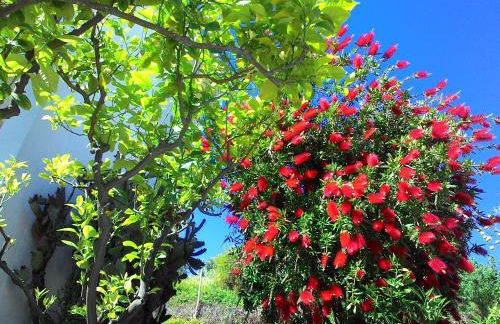 Residence La Carruba - Foto 70