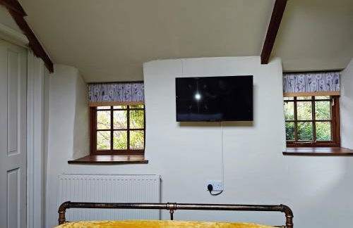 Cosy barn on rural smallholding with alpacas, goats & pigs - Foto 14