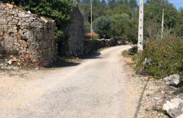 Casa do Papillon - Foto 21