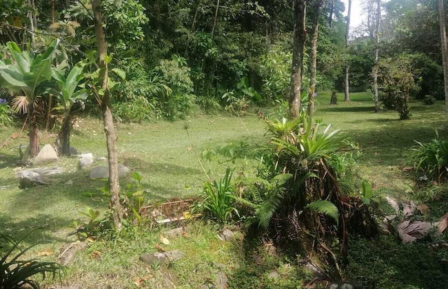 Selvática del Toro - Foto 50