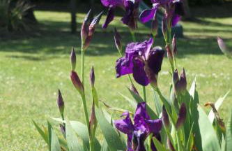 Holiday Home 8883 in Strandnähe by Interhome - Foto 37