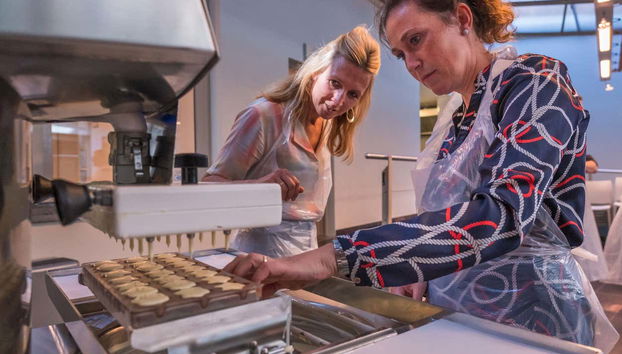 Aprendiendo todo sobre el chocolate