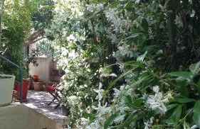 Cielito Lindo - Foto 14