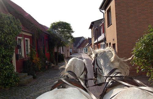 Ferienhaus H.Winkler - Foto 13