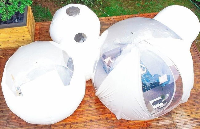 Etape en forêt - Foto 30