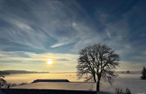 Ruhiges Maisonette-Apartment im Landhausstil mit weitem Ausblick - Foto 23