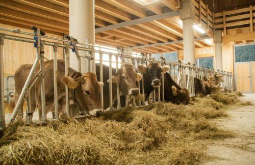 Preindlerhof Haylofts - Photo 65