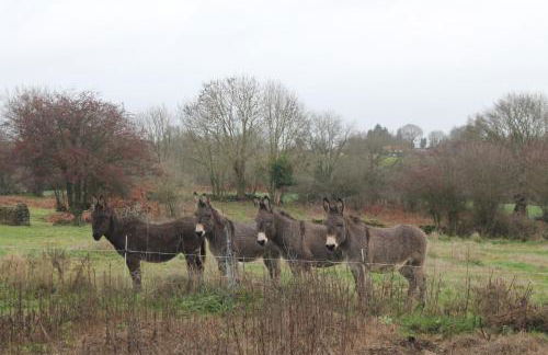 Gite Le marronnier - Parthenay - 10 personnes - Gite à la campagne à 3 kms du centre-ville - Foto 6