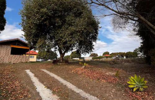 Chácara Por do sol - Photo 6