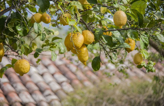 Agriturismo Bergi - Foto 67