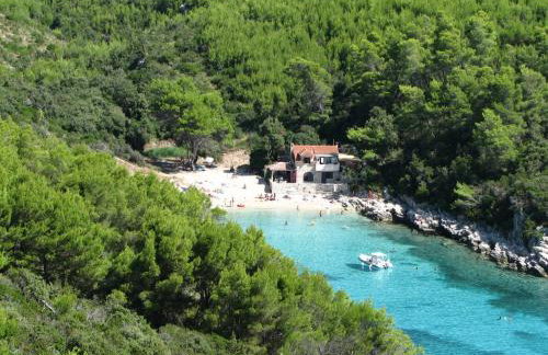 Apartman Dario - Foto 42