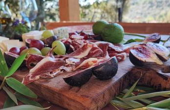 El Racó dels Mussols 1 - Foto 37