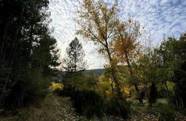 La Guijarroseña , Rio Madera - Foto 45