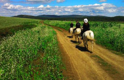 Studio Ivona - Foto 46