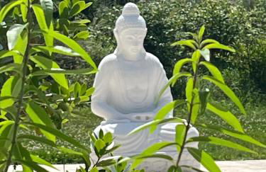 Château Wellness Exclusif - Yoga et Événements Luxe, Loire Valley - Photo 22