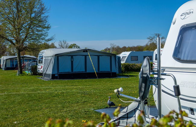 2 bedroom House in Biddinghuizen with swimming pool and terrace - Photo 14