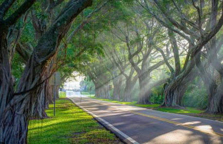 Tropical PoolHome Walk to Shops Near Beach - Foto 74