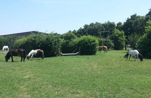 Società agricola le more Agriturismo La Dondina - Photo 16