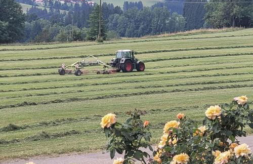 Holiday home in Weitnau with swimming pool - Photo 8