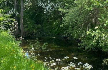 Oyster Barn sleeps two - Foto 28