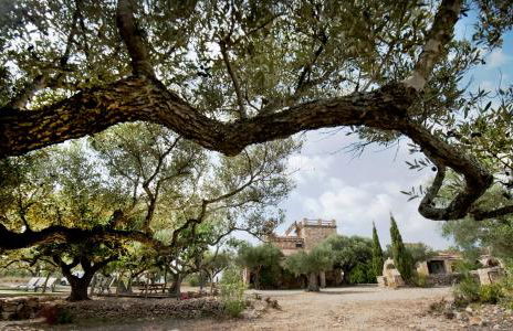 Finca Jabali - Foto 40