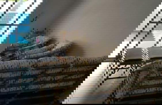 Nosso Recanto - Foto 5