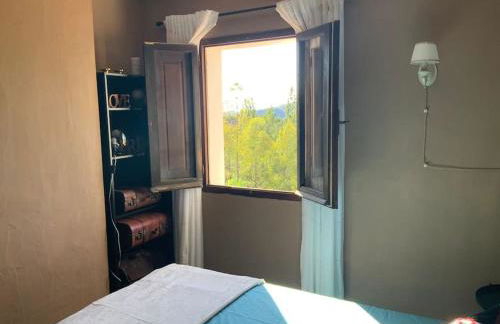 ROBY’s NEST - Foto 40